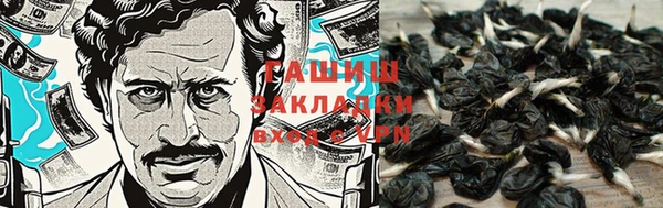 прущие грибы Алексеевка